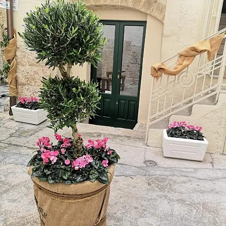 Opera Prima And Альтамура